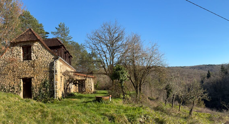 En Périgord noir-Vallée de la Vézère, entre Plazac et Saint-Léon, maison en pierre sur plus de 7 hectares, en situation isolée, sans voisin proche, à l'abri de toutes nuisances.