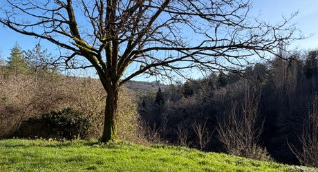En Périgord noir-Vallée de la Vézère, entre Plazac et Saint-Léon, maison en pierre sur plus de 7 hectares, en situation isolée, sans voisin proche, à l'abri de toutes nuisances.