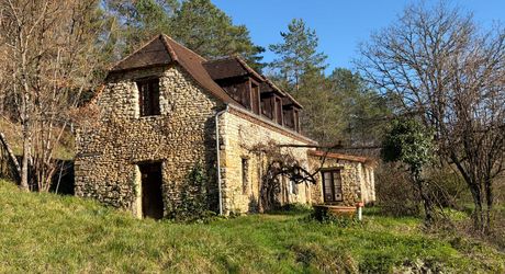 En Périgord noir-Vallée de la Vézère, entre Plazac et Saint-Léon, maison en pierre sur plus de 7 hectares, en situation isolée, sans voisin proche, à l'abri de toutes nuisances.