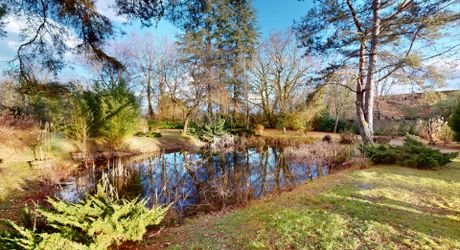 En Périgord Noir, Maison contemporaine avec piscine et superbe terrain arboré dans un environnement calme et tranquille. 