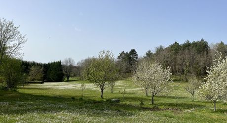 Entre Martel, Brive la Gaillarde et Souillac, Propriété sur un très beau terrain de 2.5 ha avec grande maison de plus de 240 m² habitables, et un atelier.
