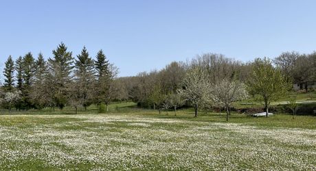 Entre Martel, Brive la Gaillarde et Souillac, Propriété sur un très beau terrain de 2.5 ha avec grande maison de plus de 240 m² habitables, et un atelier.
