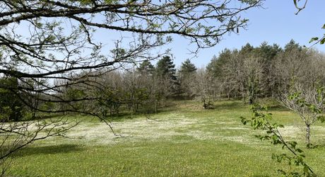 Entre Martel, Brive la Gaillarde et Souillac, Propriété sur un très beau terrain de 2.5 ha avec grande maison de plus de 240 m² habitables, et un atelier.