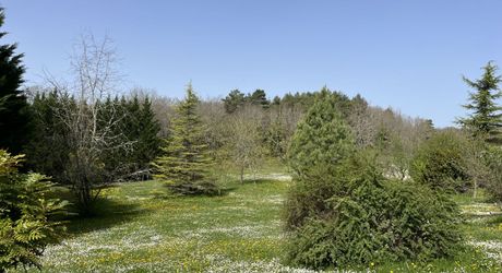 Entre Martel, Brive la Gaillarde et Souillac, Propriété sur un très beau terrain de 2.5 ha avec grande maison de plus de 240 m² habitables, et un atelier.