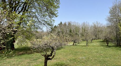 Entre Martel, Brive la Gaillarde et Souillac, Propriété sur un très beau terrain de 2.5 ha avec grande maison de plus de 240 m² habitables, et un atelier.