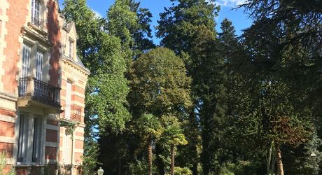 On the outskirts of Souillac towards Sarlat, in the center of a magnificent 3 hectare park, beautiful renovated residence offering over 500 m² of living space, with swimming pool and outbuildings. 