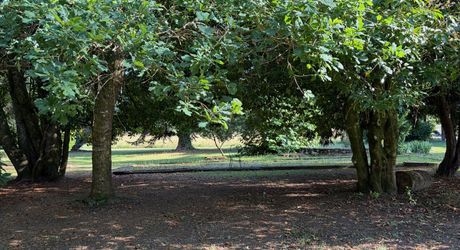 On the outskirts of Souillac towards Sarlat, in the center of a magnificent 3 hectare park, beautiful renovated residence offering over 500 m² of living space, with swimming pool and outbuildings. 