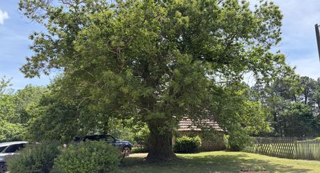 En Périgord Noir, maison sur 4000 m² de terrain, située à 5 minutes de Montignac-Lascaux en direction de Sarlat, sur les hauteurs, au calme en bout de hameau.