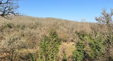 A 15 minutes de Montignac, entre Périgueux et Brive, belle longère en pierre au coeur d'un joli hameau avec un magnifique point de vue !