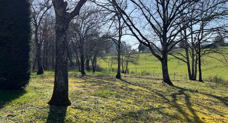 Idéalement placée entre Périgueux et Brive, propriété composée d'une maison de 160 m², d'un gite de 70 m², d'une piscine et de nombreuses dépendances. Le tout sur 5500 m² de terrain arboré.