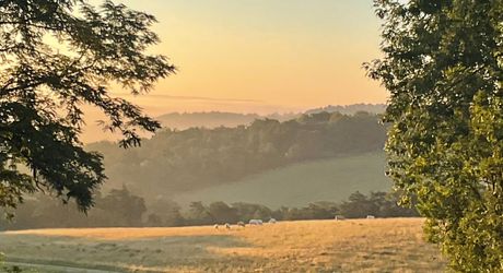 Dans un charmant hameau du Périgord Noir, à une quizaine de minutes de Montignac-Lascaux, propriété ancienne composée d'une maison de plus de 200 m² habitables, de granges, d'une piscine, le tout rénové avec soin et goût. A voir!