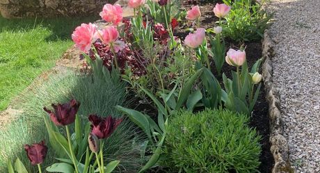 Dans un charmant hameau du Périgord Noir, à une quizaine de minutes de Montignac-Lascaux, propriété ancienne composée d'une maison de plus de 200 m² habitables, de granges, d'une piscine, le tout rénové avec soin et goût. A voir!