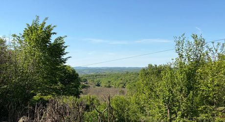 Fermette à rénover sur les hauteurs du charmant village de La Cassagne en Périgord Noir. Jardin de 2000 m². 