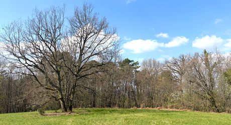 Superbe situation, calme, sur hauteurs et sans voisin visible pour cette petite propriété de caractère sur 2.8 ha avec jardin buccolique, clairière et forêt avec chênes centenaires.