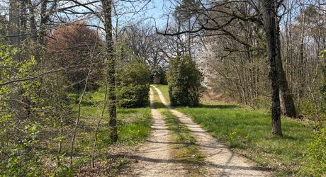 Superbe situation, calme, sur hauteurs et sans voisin visible pour cette petite propriété de caractère sur 2.8 ha avec jardin buccolique, clairière et forêt avec chênes centenaires.
