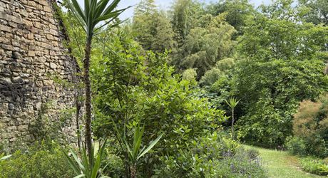 Superbe situation, calme, sur hauteurs et sans voisin visible pour cette petite propriété de caractère sur 2.8 ha avec jardin buccolique, clairière et forêt avec chênes centenaires.