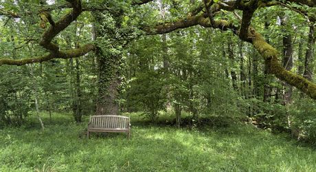 Superbe situation, calme, sur hauteurs et sans voisin visible pour cette petite propriété de caractère sur 2.8 ha avec jardin buccolique, clairière et forêt avec chênes centenaires.