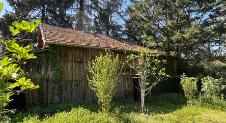 En Périgord Noir, dans SARLAT, maison d'environ 200 m² habitables avec garage, cave, séchoir à tabac et piscine à rénover sur plus d'un hectare de terrain constructible. Ensemble unique.