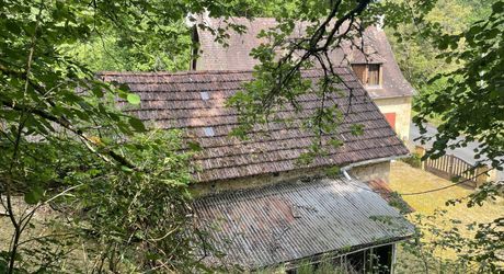 En Périgord Noir, à quelques minutes à pieds d'un charmant village et de la rivière Vézère,  cette maison ancienne, sa grange et son four à pain méritent quelques travaux qui en feront un pied à terre aussi confortable que modeste.