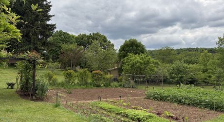Très belle propriété en Périgord Noir, avec grande maison principale, maison d'amis et piscine. Beau terrain paysagé d'environ 5700 m².