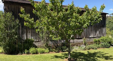 Ancienne ferme périgourdine rénovée sur 15 hectares à 6 kilomètres de Sarlat.