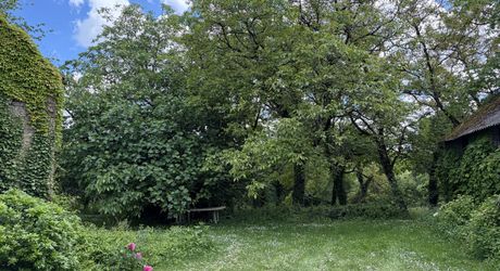 Propriété sur 2 hectares située dans un très beau cadre de campagne, à moins de 10 minutes de Sarlat.