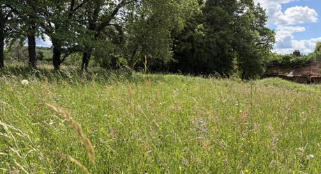 Propriété sur 2 hectares située dans un très beau cadre de campagne, à moins de 10 minutes de Sarlat.