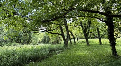 Propriété sur 2 hectares située dans un très beau cadre de campagne, à moins de 10 minutes de Sarlat.