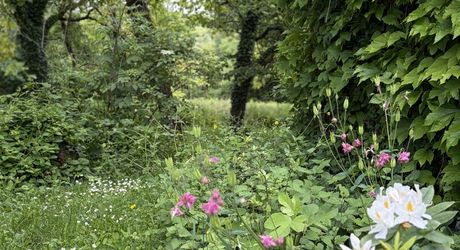Propriété sur 2 hectares située dans un très beau cadre de campagne, à moins de 10 minutes de Sarlat.