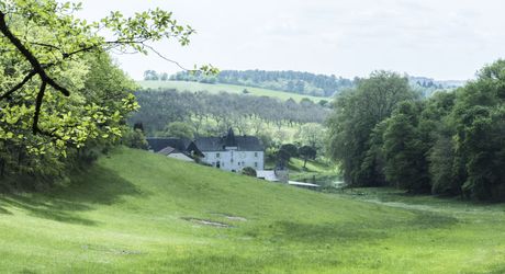 Domaine unique en Périgord Noir sur 67 hectares clos avec château et dépendances.