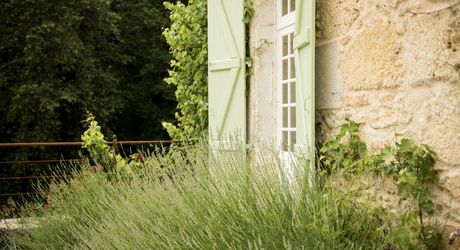 Domaine unique en Périgord Noir sur 67 hectares clos avec château et dépendances.