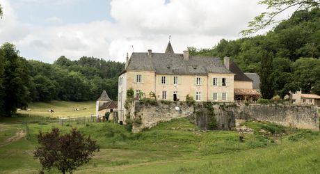 Domaine unique en Périgord Noir sur 67 hectares clos avec château et dépendances.