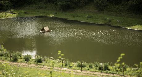 Domaine unique en Périgord Noir sur 67 hectares clos avec château et dépendances.