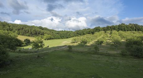 Domaine unique en Périgord Noir sur 67 hectares clos avec château et dépendances.
