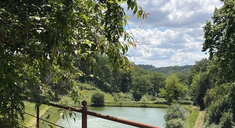 Domaine unique en Périgord Noir sur 67 hectares clos avec château et dépendances.