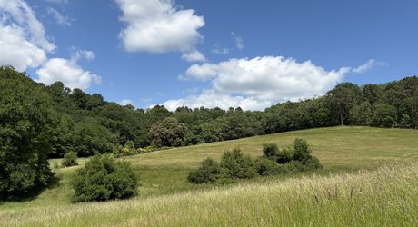 Domaine unique en Périgord Noir sur 67 hectares clos avec château et dépendances.