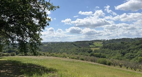Domaine unique en Périgord Noir sur 67 hectares clos avec château et dépendances.