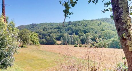 Belle propriété de caractère offrant plus de 21 hectares, aux portes du Périgord Noir, dans un emplacement calme et isolé entre MONTIGNAC, TERRASSON et HAUTEFORT.