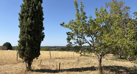 Sur les hauteurs, entre Les Eyzies, Plazac et Rouffignac, ensemble comprenant une maison de plain-pied et un petit chalet sur près de 6000 m² de terrain.