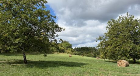 Emplacement rare pour cette superbe demeure du XVII ème siècle rénovée avec 1,8  ha au cœur d’un village du Périgord Noir avec commerces. 