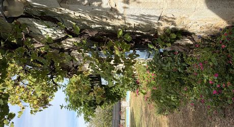 Périgord noir, à 20 minutes de Montignac-Lascaux, belle périgourdine rénovée, avec piscine chauffée sur terrain attenant.