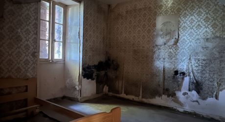 Fermette à rénover avec l'ensemble de ses dépendances agricoles sur 8 ha de terrrain au coeur d'un petit village du Périgord Noir.