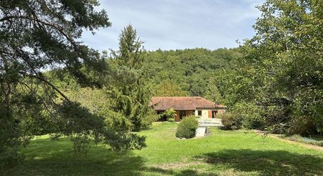 Rare à Montignac-Lascaux : à proximité à pieds des commerces et services, maison de plain-pied offrant grande pièce à vivre, 3 chambres, garage, piscine sur plus de 4000 m2 de terrain plat et arboré.