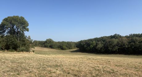 Domaine d’environ 40 hectares en Périgord Noir composé du Manoir, d’une métairie et d’importantes dépendances.