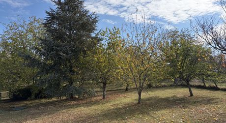 Sur les hauteurs de MONTIGNAC-LASCAUX, au calme, maison d'environ 133 m² habitables sur 1600 m² de jardin clos.