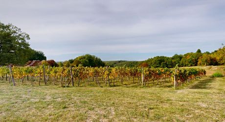 Le charme authentique du Périgord noir, entre pierre et nature. 