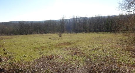 Propriété en pierre avec dépendances