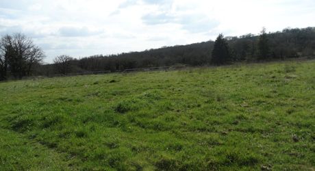 Labastide Murat à 11 Mn Maison Contemporaine