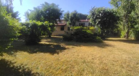 Caillac . Maison T4 de 1981avec parc arboré 