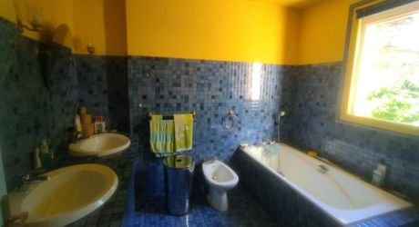 Caillac . Maison T4 de 1981avec parc arboré 